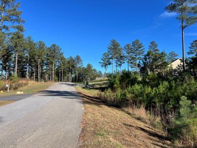 Lot 313 The Cove @ 1300, Blairsville, Georgia 30512, Estados Unidos