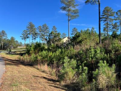 Lot 313 The Cove @ 1300, Blairsville, Georgia 30512, Estados Unidos