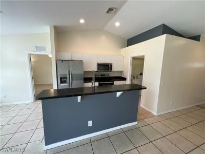 2917 43rd Street W, Lehigh Acres, 佛羅里達州 33971, 美國