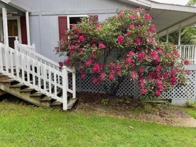 2322 Moccasin Road, Blairsville, Georgia 30512, Stati Uniti