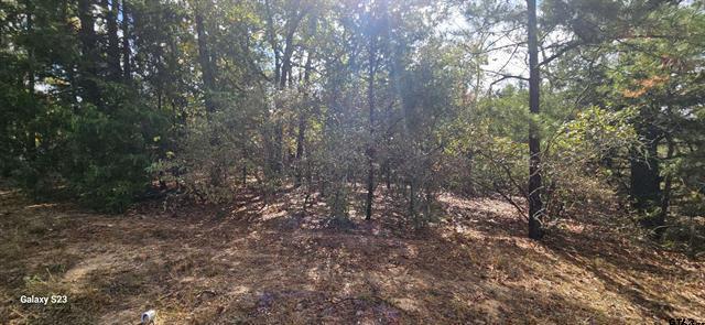 15570 CR 3147, Tyler, Texas 75771, USA