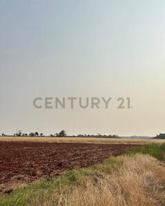 Raúl Arsenio Oviedo, Caaguazú 00001, Paraguay