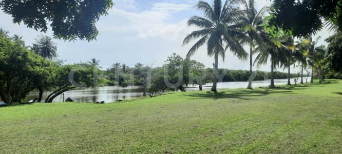 Tampico Alto, Веракрус 92042, Мексика