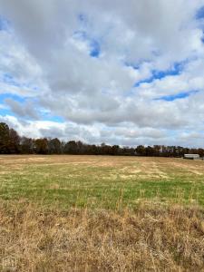 35 County Road 7181, Jonesboro, アーカンソー 72405, アメリカ合衆国