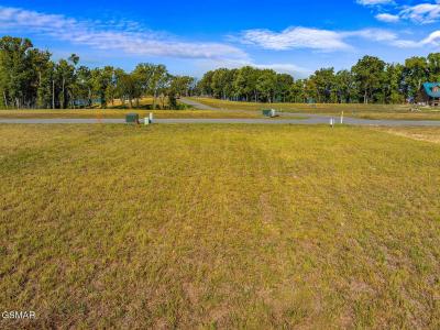 Lot 57 Sunset Blvd, White Pine, Теннесси 37890, Соединенные Штаты