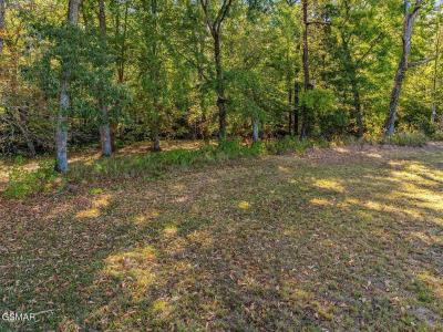 Lot 57 Sunset Blvd, White Pine, Tennessee 37890, USA