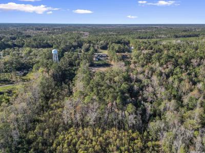 TBD First St., Conway, Caroline Du Sud 29527, États-Unis