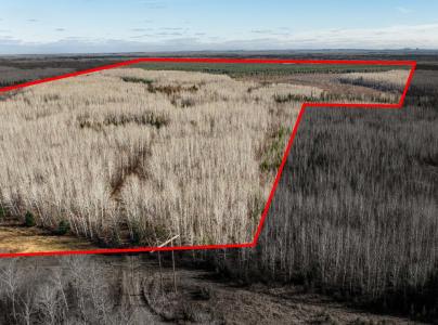 TBD County Rd 60, Grand Rapids, Minnesota 55744