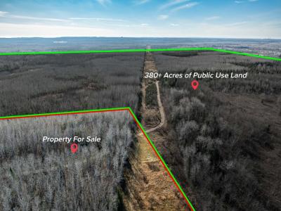 TBD County Rd 60, Grand Rapids, Minnesota 55744