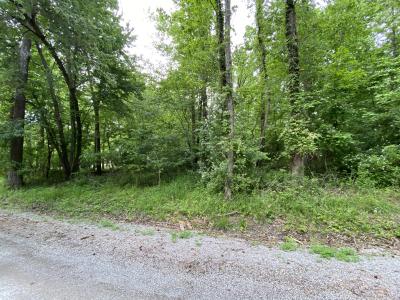 Lot 4 Choctaw, Carbondale, Illinois 62901, HOA KỲ