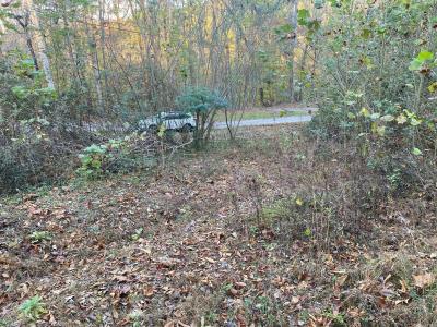 135 David Brown Road, Jasper, Tennessee 37347, USA