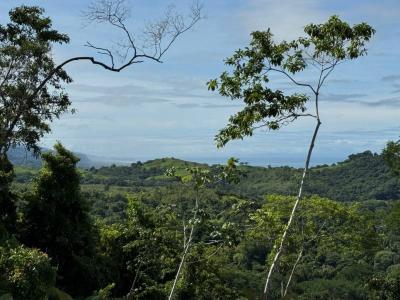 Savegre Quepos, Puntarenas 00001, Costa Rica