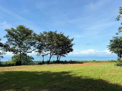 Savegre Quepos, Puntarenas 00001, Costa Rica