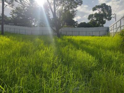 Pavas San José, San José 00001, Costa Rica