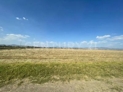 JAGUEY DE TELLEZ ,, Zempoala, Hidalgo 43840, Mexico