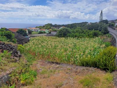 Madalena, Ilha Do Pico 9950-537, Portugal