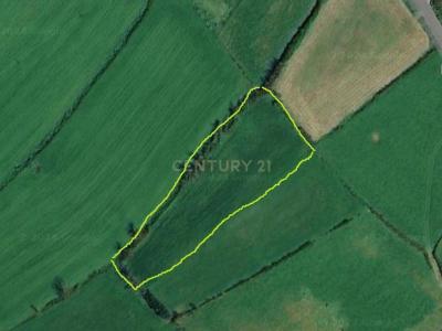 Lagoa, São Miguel 9560-501, Portugal