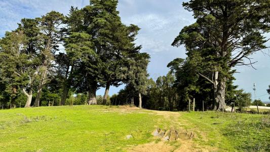Azambuja, Lisbonne 2050-281, Portugal