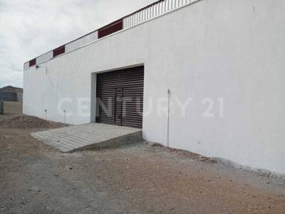 Guadalupe, 薩卡特卡斯 98640, 墨西哥
