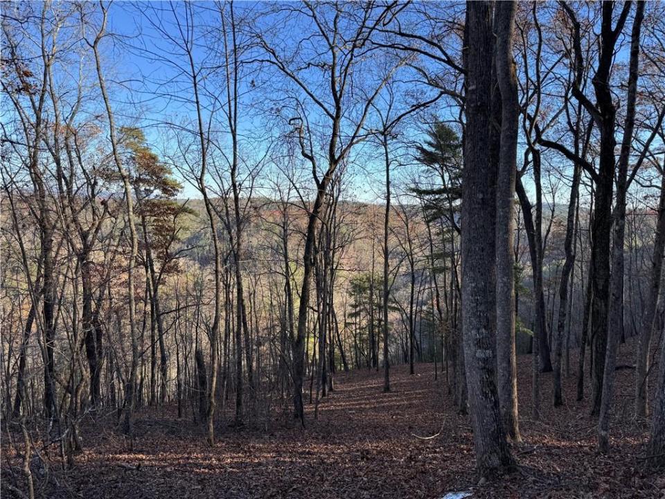 803 Greenwood Circle, #803, Ranger, Georgia 30734, USA