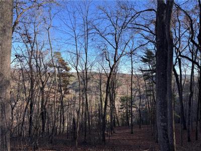 803 Greenwood Circle, #803, Ranger, Georgia 30734, USA