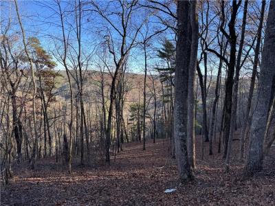 803 Greenwood Circle, #803, Ranger, Georgia 30734, USA