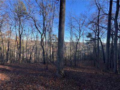803 Greenwood Circle, #803, Ranger, Georgia 30734, USA