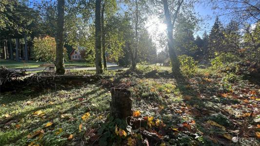 54 A Saratoga Drive, Hat Island, Washington 98206, Amerika Birleşik Devletleri