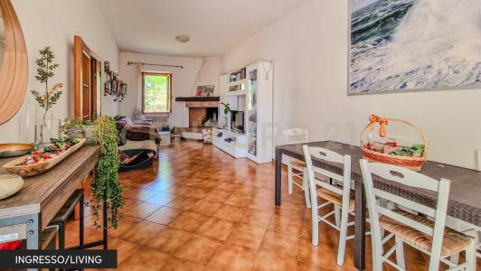 via del carpentiere, Roccastrada, Toscana 58036, İtalya