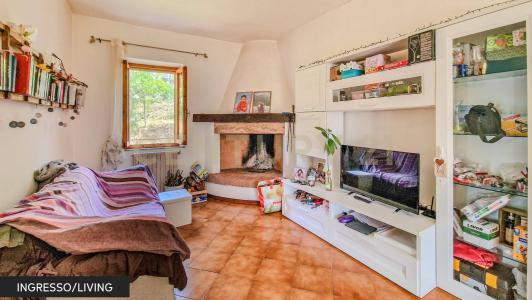via del carpentiere, Roccastrada, Toscana 58036, İtalya