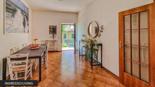 via del carpentiere, Roccastrada, Toscana 58036, İtalya