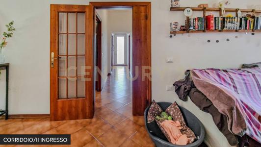 via del carpentiere, Roccastrada, Toscana 58036, İtalya