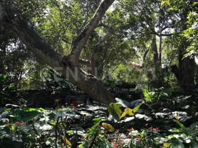 Primero de mayo 56,, Comala, ولاية كوليما 28450, المكسيك