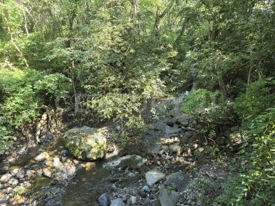 Primero de mayo 56,, Comala, ولاية كوليما 28450, المكسيك