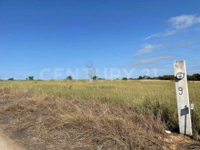 La Palma s/n,, Montemorelos, Nuevo León 67608, Mexico