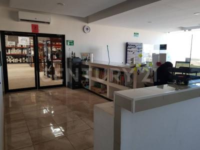 Nuevo Casas Grandes, Chihuahua 31710, México