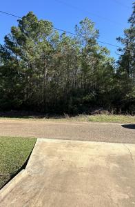 Stillwood Rd., Deridder, Louisiana 70634, Stati Uniti