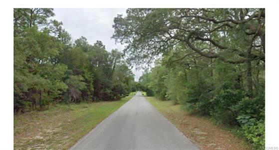 1773 W Tacoma Street, Hernando, Florida 34442, USA