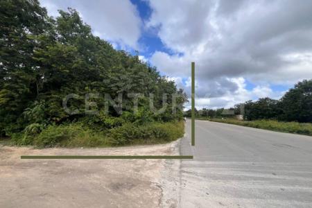 Avenida Felix entre Aurelio y Domingo 350,, Cozumel, Quintana Roo 77601, Mexico