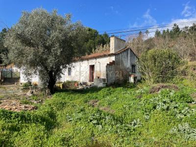 Abrantes, Santarem 2200-755, Portugal