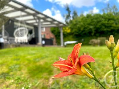 Rousies, 北部-加来海峡 59131, 法國