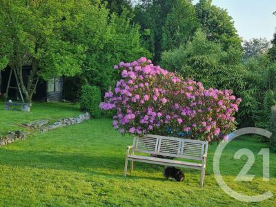 Rousies, Nord-Pas-de-Calais 59131, France