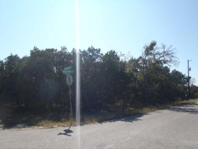 1266 Highpoint Ln, Spring Branch, Texas 78070