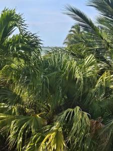 17171 Seagrape Lane, Sugarloaf, Florida 33042, USA