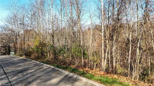 Lot #8 Mountin Laurel Dr., Marietta, 俄亥俄州 45750, 美国
