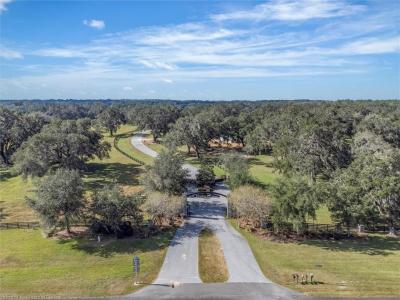 Lot 12 Tbd NW 154TH AVENUE Road, Morriston, Florida 32668, Estados Unidos