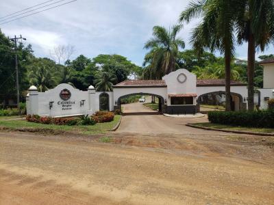 Quebrada Amarilla Jacó Garabito, Puntarenas 00001, Costa Rica