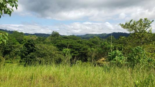 Quebrada Amarilla Jacó Garabito, Puntarenas 00001, Costa Rica