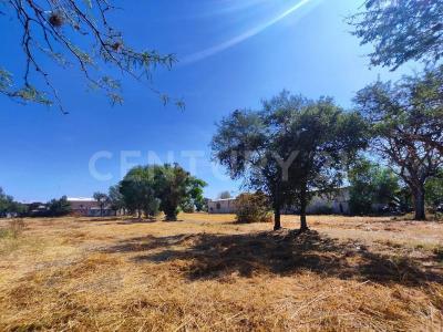 PASEO DE LAS FLORES, BARRIO DE GUADALUPE s/n,, San Francisco Del Rincón, Guanajuato 36365, Mexico