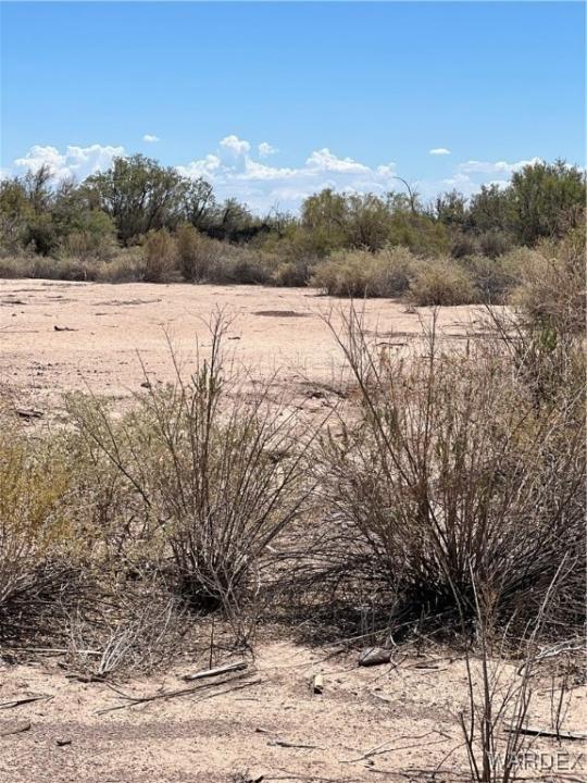 2798 Silver Mesa Drive, Mohave Valley, Arizona 86440